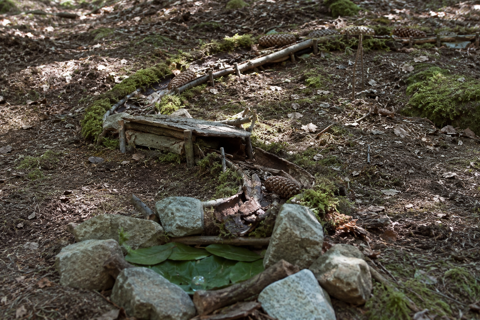 Die Wald-Murmelbahn-Challenge